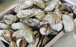 公交车后车座的疯狂的做细节描写